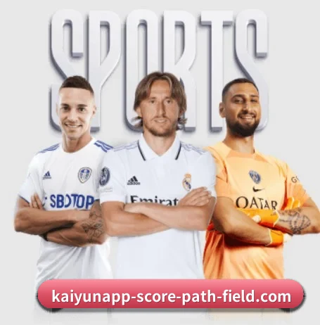 开云APP APP