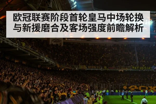 football stadium night crowd